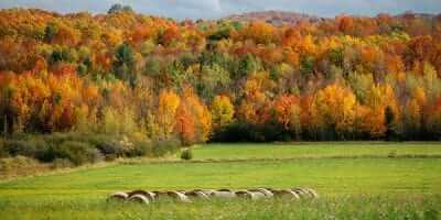 Adirondack